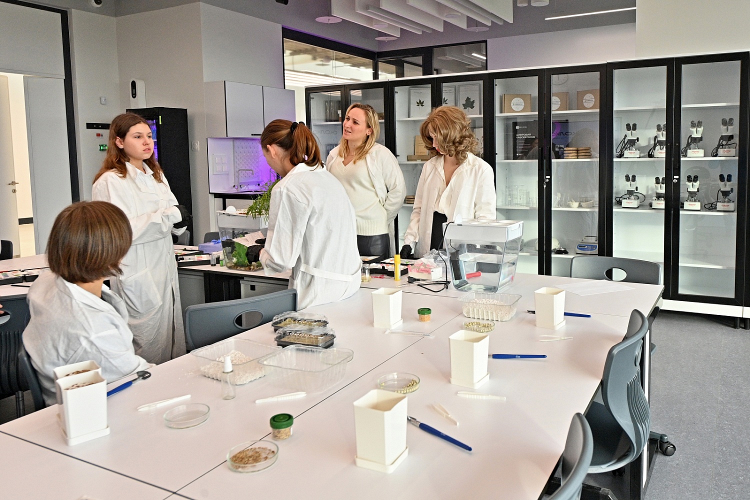 На территории бывшей промзоны Алтуфьевское Шоссе построят учебный комплекс по программе КРТ